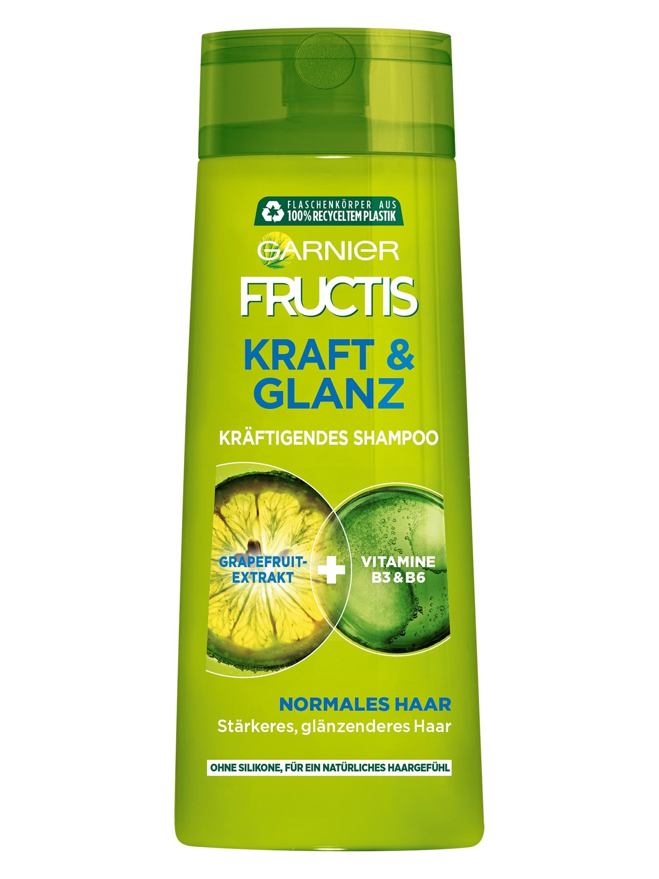3600541979833 Garnier Fructis Kraft Glanz SH 250ml front gr